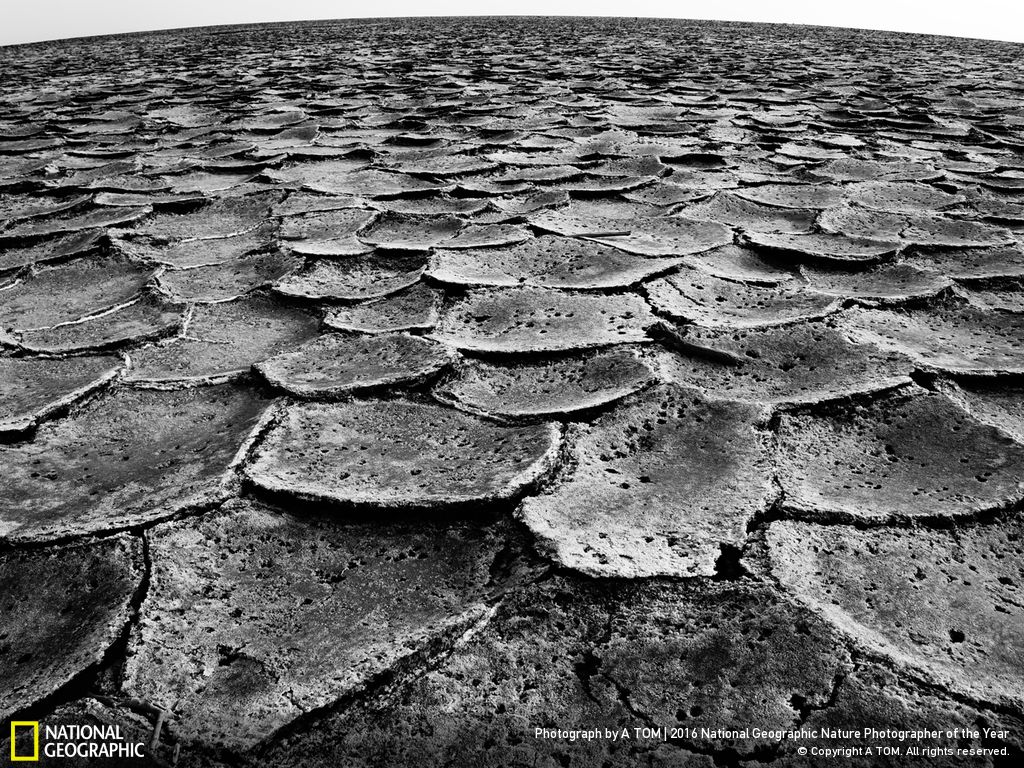 2016nationalgeographic_news