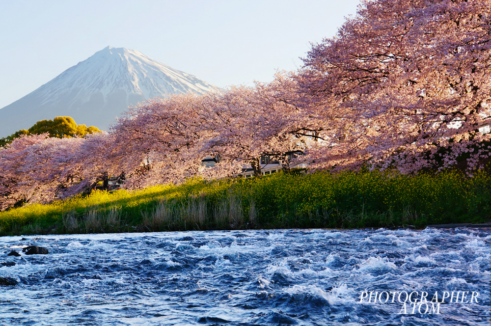 DSC01647_1000_1000_sign