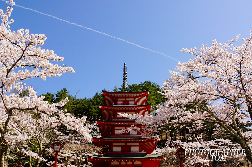 DSC02152_1000_1000_sign